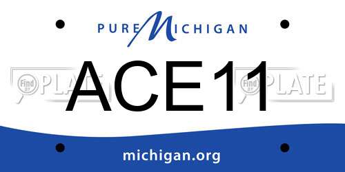 ACE11 Michigan License Plate
