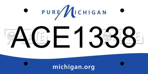ACE1338 Michigan License Plate