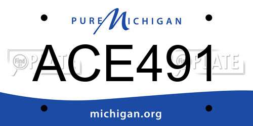 ACE491 Michigan License Plate