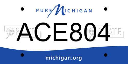 ACE804 Michigan License Plate