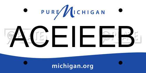 ACEIEEB Michigan License Plate