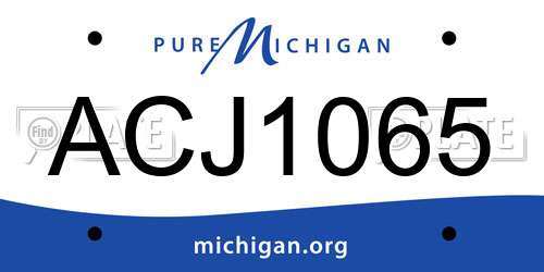 ACJ1065 Michigan License Plate