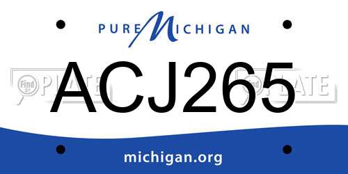 ACJ265 Michigan License Plate