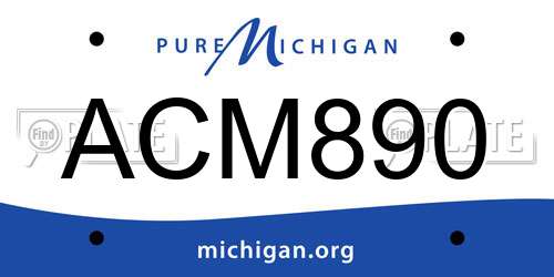 ACM890 Michigan License Plate