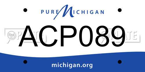 ACP089 Michigan License Plate