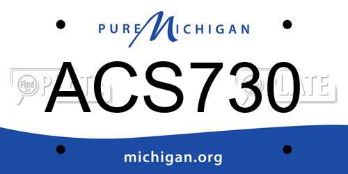 ACS730 Michigan License Plate