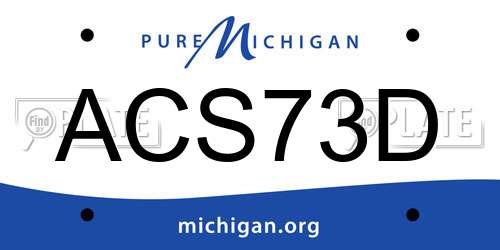 ACS73D Michigan License Plate