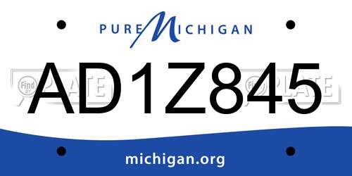 AD1Z845 Michigan License Plate