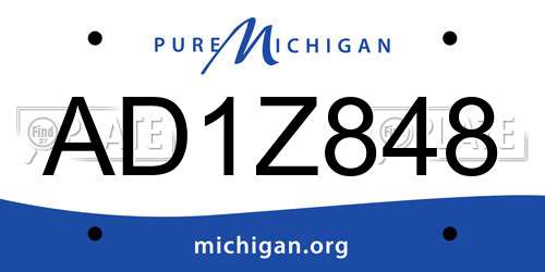 AD1Z848 Michigan License Plate