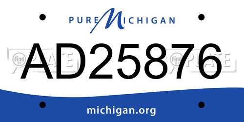 AD25876 Michigan License Plate