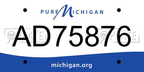 AD75876 Michigan License Plate