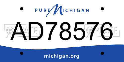 AD78576 Michigan License Plate