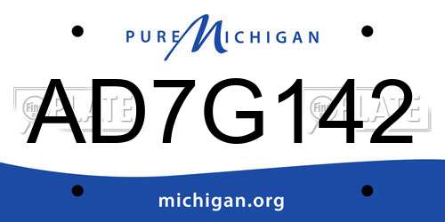 AD7G142 Michigan License Plate