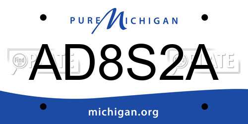 AD8S2A Michigan License Plate