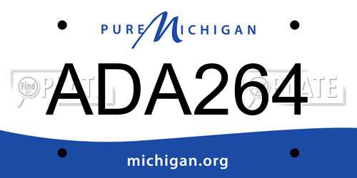 ADA264 Michigan License Plate