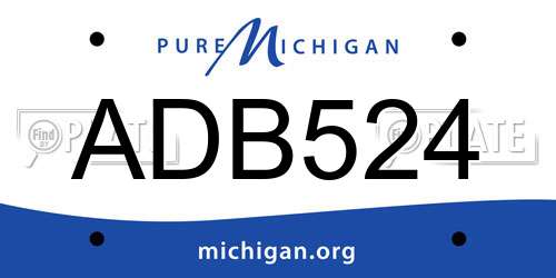 ADB524 Michigan License Plate