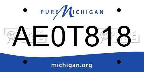 AE0T818 Michigan License Plate