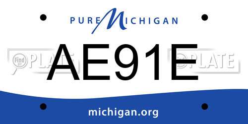 AE91E Michigan License Plate
