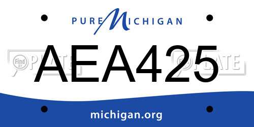 AEA425 Michigan License Plate