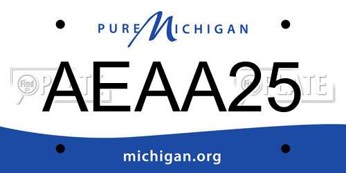 AEAA25 Michigan License Plate