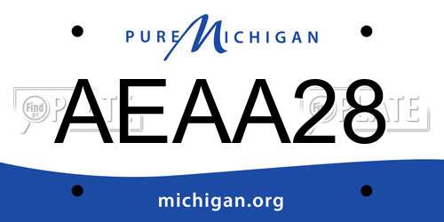 AEAA28 Michigan License Plate