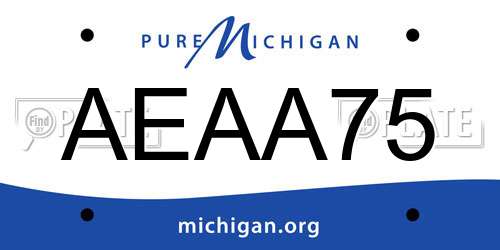 AEAA75 Michigan License Plate