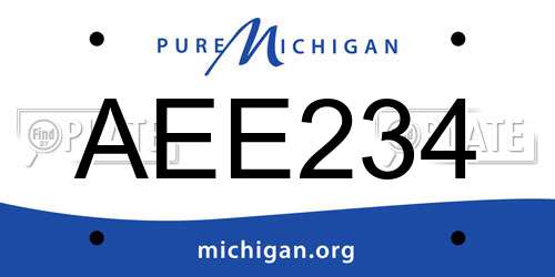 AEE234 Michigan License Plate
