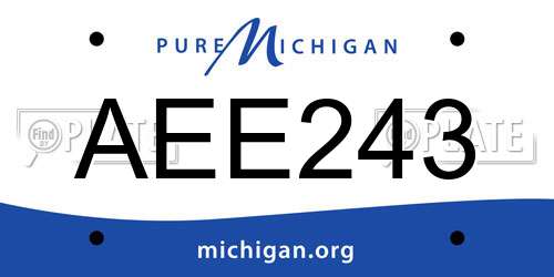 AEE243 Michigan License Plate