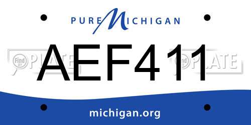 AEF411 Michigan License Plate