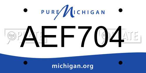 AEF704 Michigan License Plate