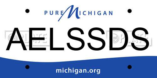 AELSSDS Michigan License Plate
