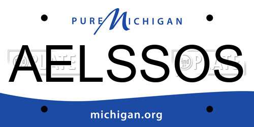 AELSSOS Michigan License Plate
