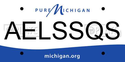 AELSSQS Michigan License Plate