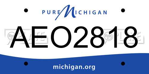 AEO2818 Michigan License Plate