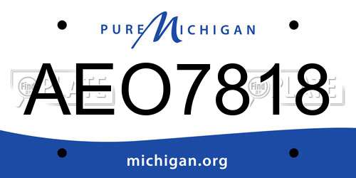 AEO7818 Michigan License Plate