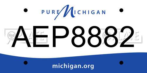 AEP8882 Michigan License Plate