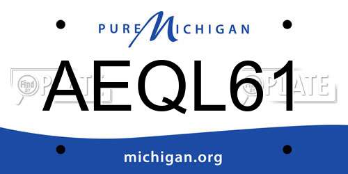 AEQL61 Michigan License Plate