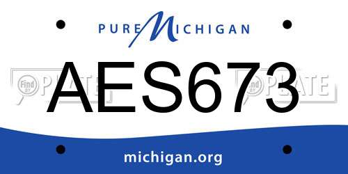 AES673 Michigan License Plate