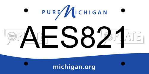 AES821 Michigan License Plate