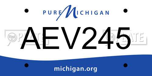 AEV245 Michigan License Plate