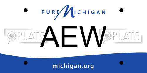 AEW Michigan License Plate