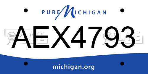 AEX4793 Michigan License Plate