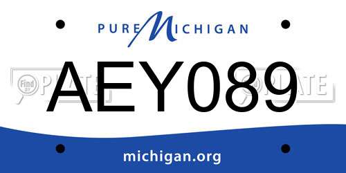AEY089 Michigan License Plate