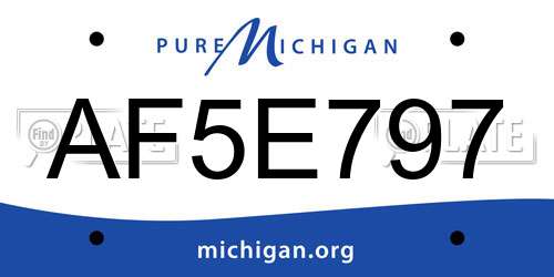 AF5E797 Michigan License Plate