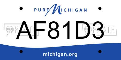 AF81D3 Michigan License Plate