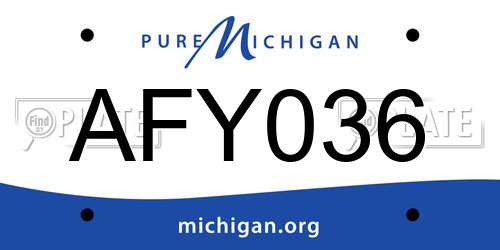 AFY036 Michigan License Plate