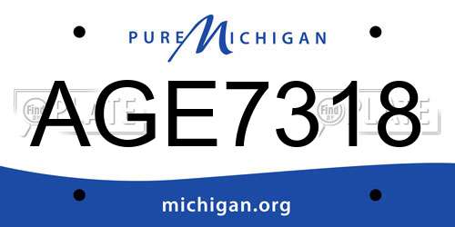 AGE7318 Michigan License Plate
