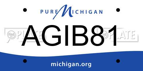 AGIB81 Michigan License Plate