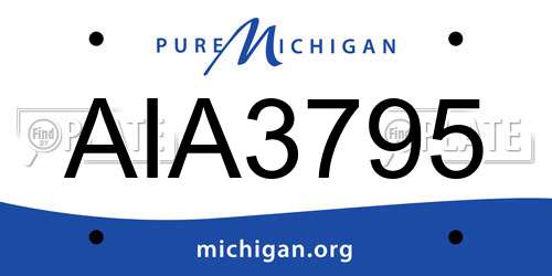 AIA3795 Michigan License Plate