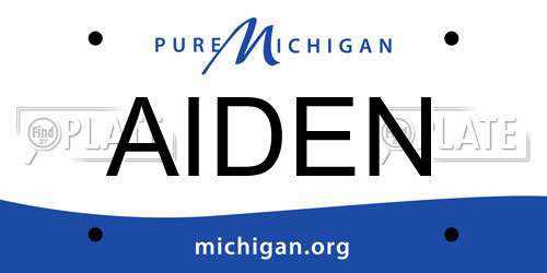 AIDEN Michigan License Plate